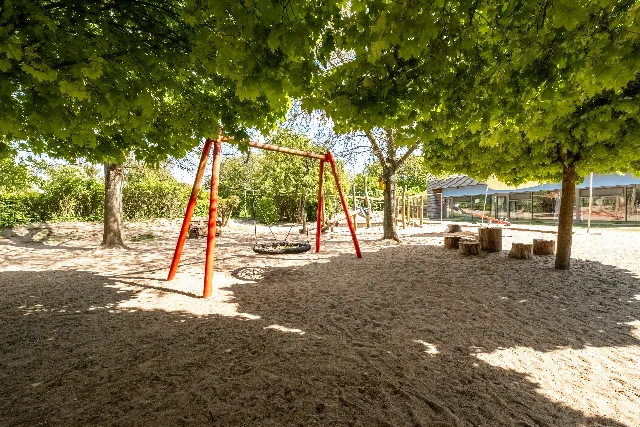 Rote Schaukel unter einem großen Baum im Sandspielbereich